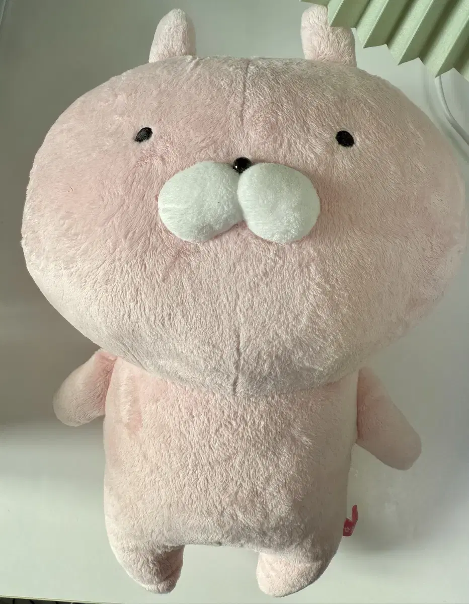 우사마루 인형 누이구루미 일괄 판매